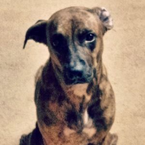 Meet your Posher, Carl